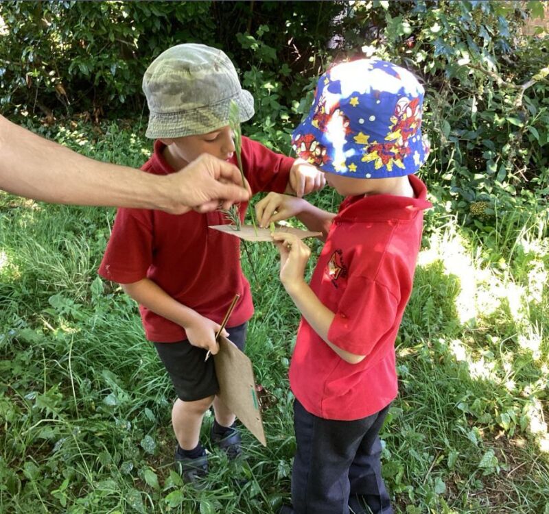 Image for the Tweet beginning: Year 1 and 2 went
