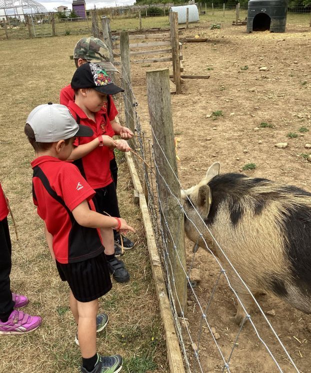 Image for the Tweet beginning: Year 1 and 2 had