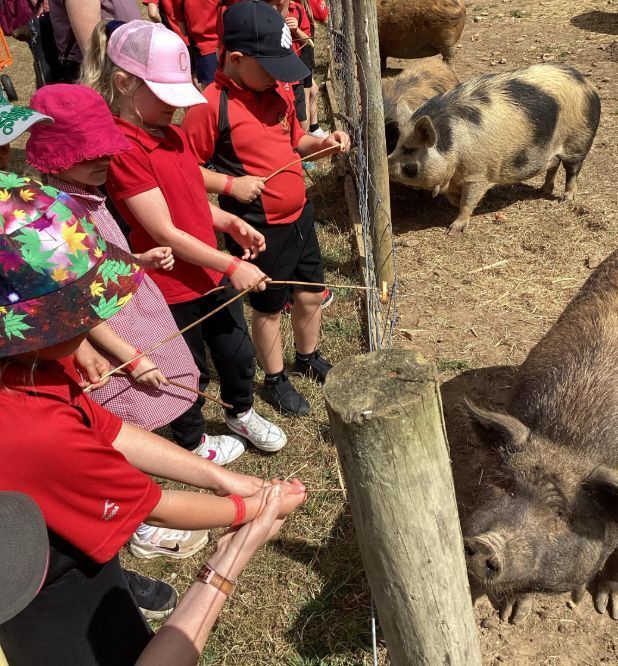 Image for the Tweet beginning: Year 1 and 2 had