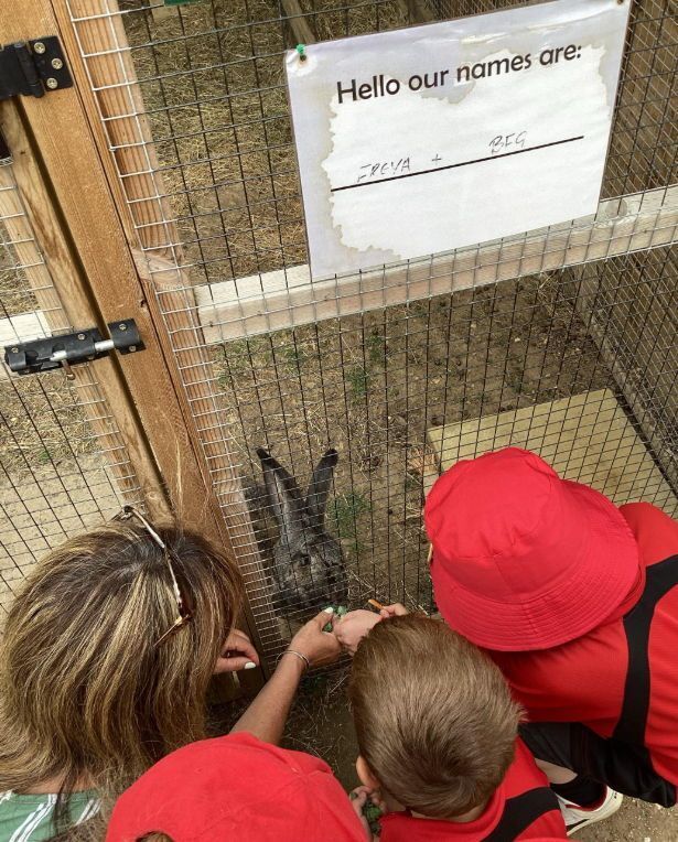 Image for the Tweet beginning: Year 1 and 2 had